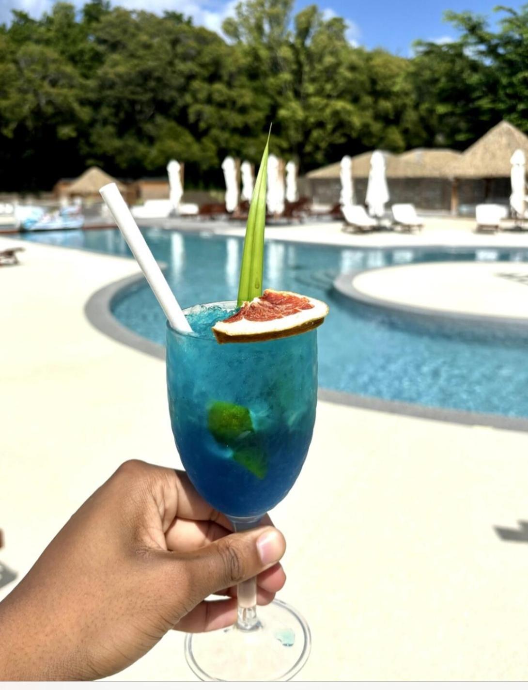La Ruche De Maia - Blue Dream Beach - Piscine - Jardin - Plage Grand-Bourg  Exterior photo