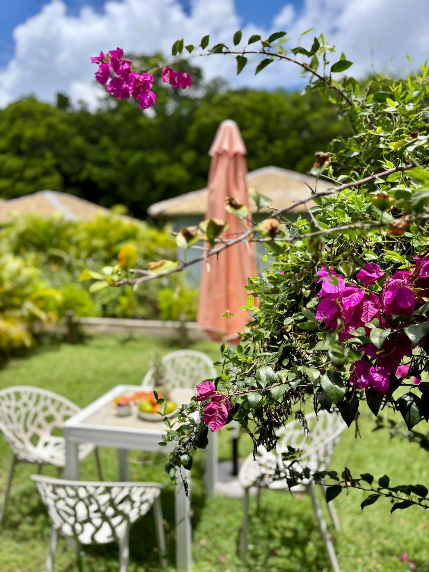 La Ruche De Maia - Blue Dream Beach - Piscine - Jardin - Plage Grand-Bourg  Exterior photo